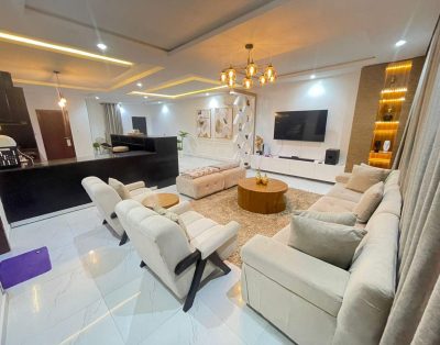 Luxurious 2 Bedroom Apartment in Lekki Phase 1